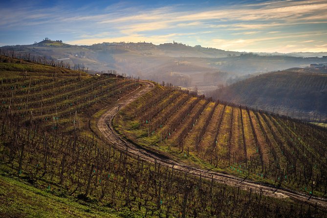 Private Barolo / Barbaresco - Piedmont Wine Tours and Tastings - Cancellation Policy Overview