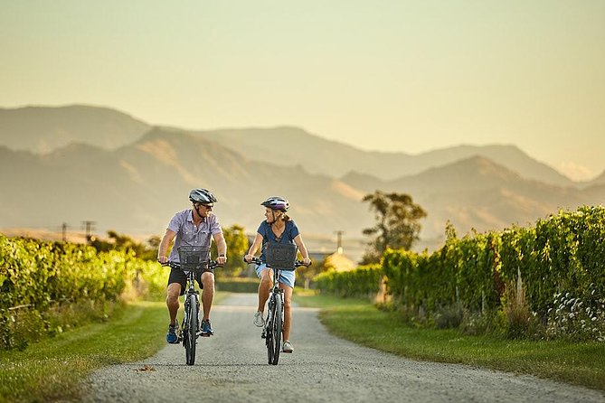 Private Biking Wine Tour (Full Day) in the Marlborough Region - Lunch and Wine Tastings