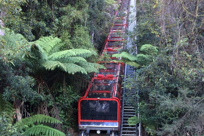 PRIVATE Blue Mountains Day Tour From Sydney With Wildlife Park and River Cruise - Professional Guide Details