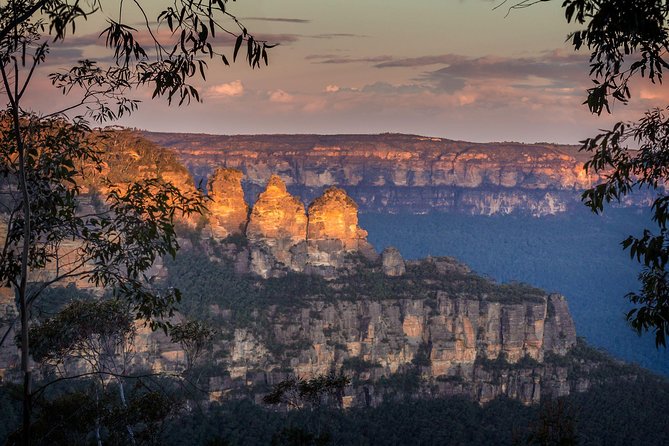 Private Blue Mountains Tour With Kangaroo and Koala Experience - Weather-Resilient Tour Experiences