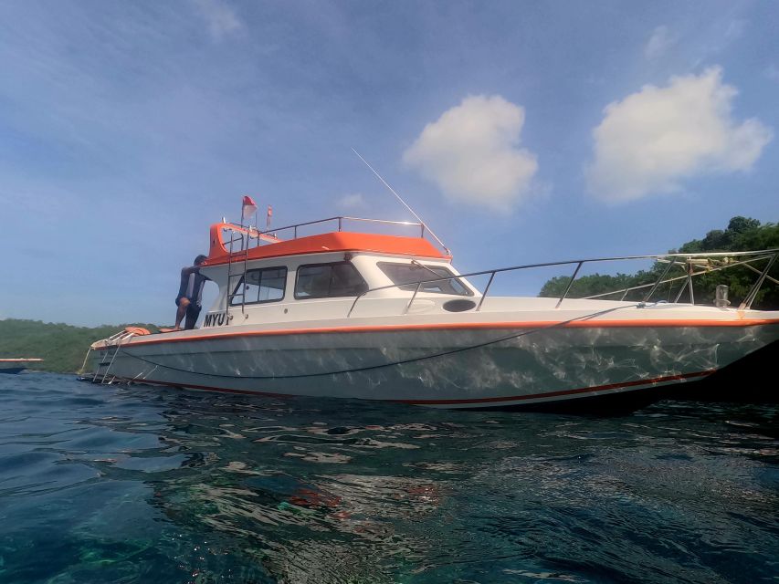 Private Boat Nusa Penida Day Tour With Snorkeling & LandTour - Included Activities