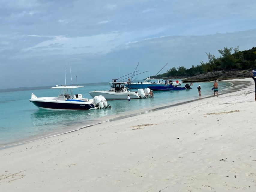 Private Boat Pigs ,Turtles, Reef Snorkeling & Beach Bar - Location and Departure Details