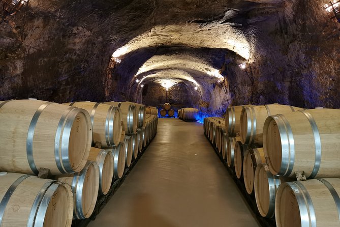 Private Bordeaux Wine Tasting Tour From San Sebastián  - San Sebastian - Cancellation Policy