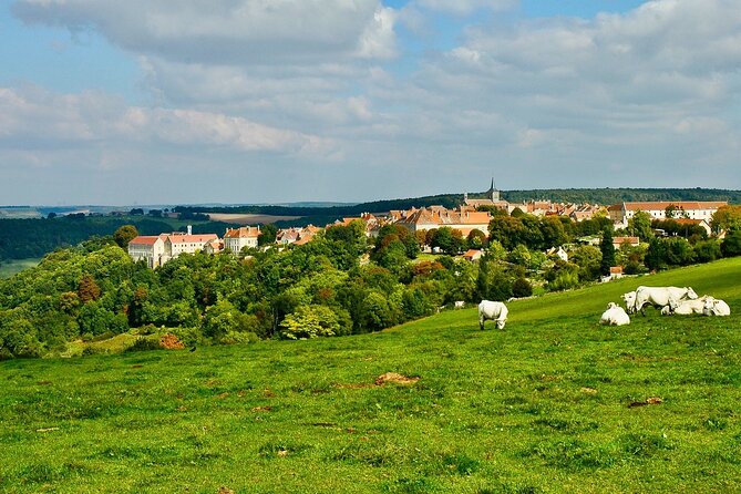 Private Burgundy 3 Domaines Chateau Pommard Chablis 15 Wines Trip - Common questions