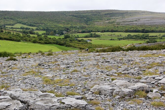 Private Burren and Cliffs of Moher Full Day Tour - Transparent Pricing Details