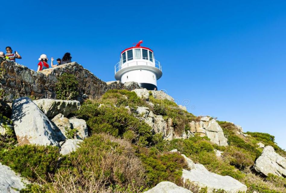 Private Cape Peninsular Full Day Tour - Detailed Itinerary Overview