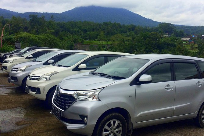 Private Car Charter - Explore Best of Bali - Customizable Itinerary