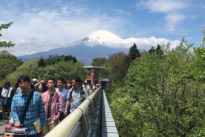 Private Car Mt Fuji and Gotemba Outlet in One Day From Tokyo - Tour Highlights