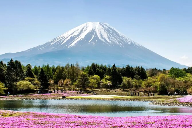 Private Car/Van Charter Full Day Tour MT Fuji And Hakone, (Guide) - Inclusions and Exclusions