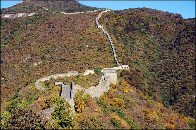 Private Changyu Chateau Wine Tasting Tour and Mutianyu Great Wall Visit - Traveler Experience