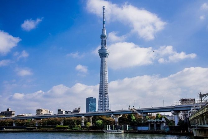 Private Chartered Taxi Tour of Tokyo - How to Book