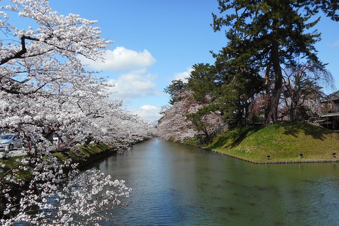 Private Cherry Blossom Tour in Hirosaki With a Local Guide - Booking and Pricing Information