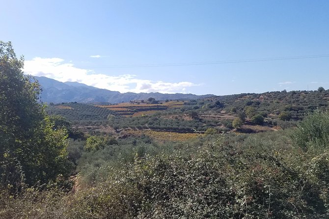 Private Crete Mountain Villages Wine and Food Tour - Logistics Details