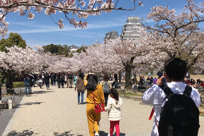 Private & Custom KOBE (HIMEJI CASTLE) Day Tour by Land Rover Discovery 2018 - Customer Support and Information