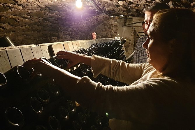 Private Day Tour in Champagne - Reviews and Ratings