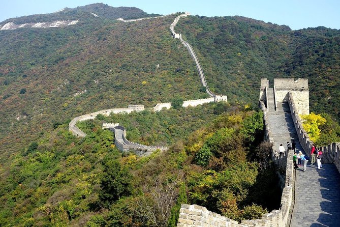 Private Day Tour of Mutianyu Great Wall From Beijing Including Lunch - Customer Reviews Overview