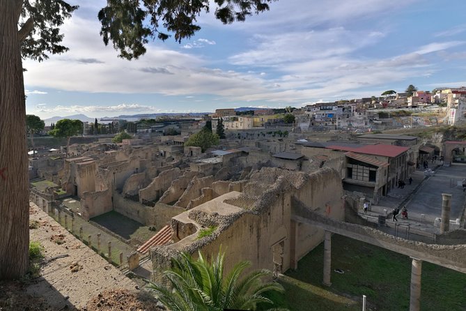 Private Day Tour to Vesuvius, Herculaneum & Pompeii With Pick up - Pricing and Booking Information