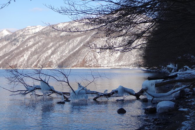 Private Day Trip of Lake Shikotsu and Moss Canyon - Important Reminders