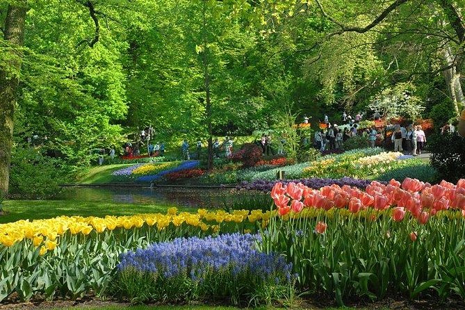 Private Day Trip to the Keukenhof Gardens and Giethoorn - Verified Reviews
