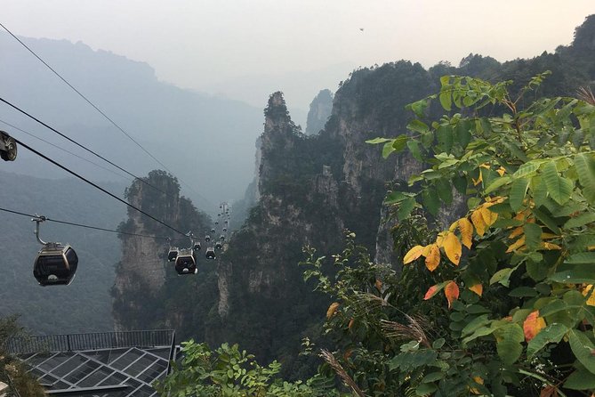 Private Day Trip to Zhangjiajie National Forest Park - Traveler Photos and Memories