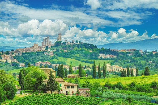 Private Day Trip Tuscany Landscape and Wine Tasting From Florence - Customer Reviews
