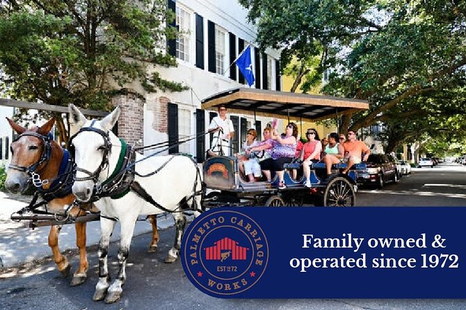 Private Daytime or Evening Horse-Drawn Carriage Tour of Historic Charleston - Reviews and Traveler Feedback