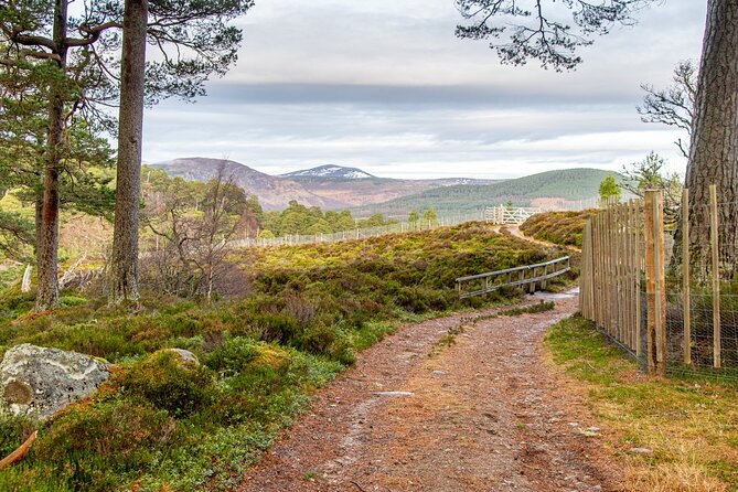 Private Deeside Walking Tour to Kings Secret Retreat & Castle/Distillery Visit - Pricing and Booking Details