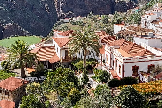 Private Excursion the Mountains of Gran Canaria for 2 to 4 People - Tour Highlights