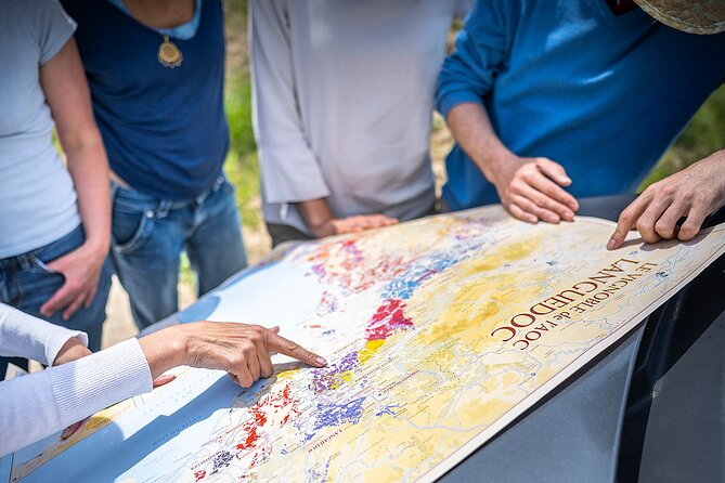 Private Full Day Pic Saint Loup Wine and Olive Tour With Lunch From Montpellier - Terroir Insights