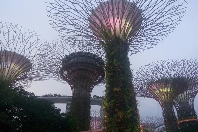 Private Full Day Singapore Highlights Tour - Traveler Tips and Customer Reviews