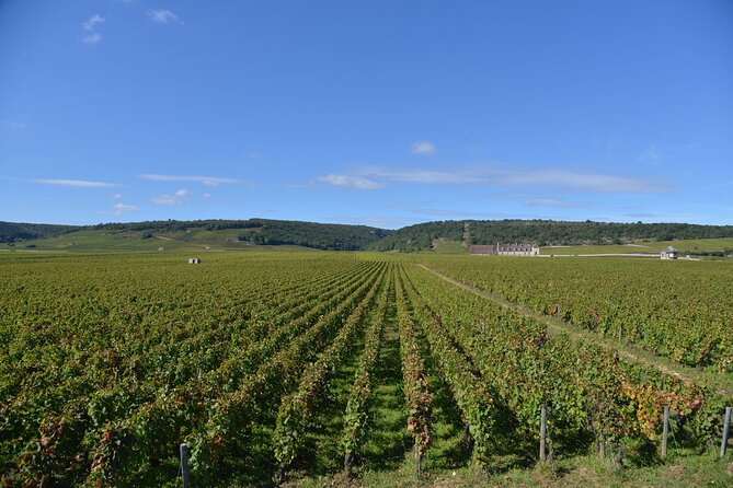 Private Full Day Tour Burgundy Gourmet - Booking Information and Copyright