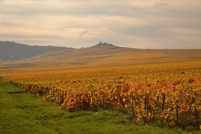 Private Full-Day Tour of Champagne Region - Key Features