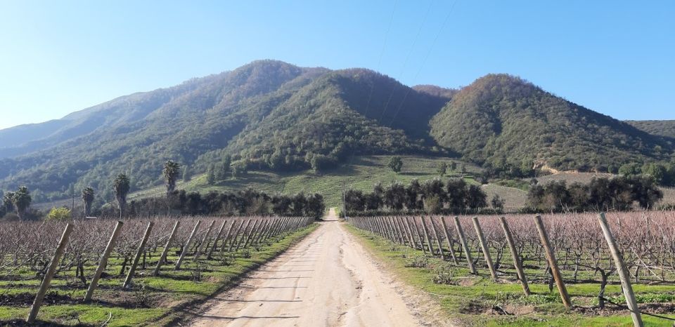 Private Full-Day Wine Tasting Tour in Colchagua Valley - Tour Highlights