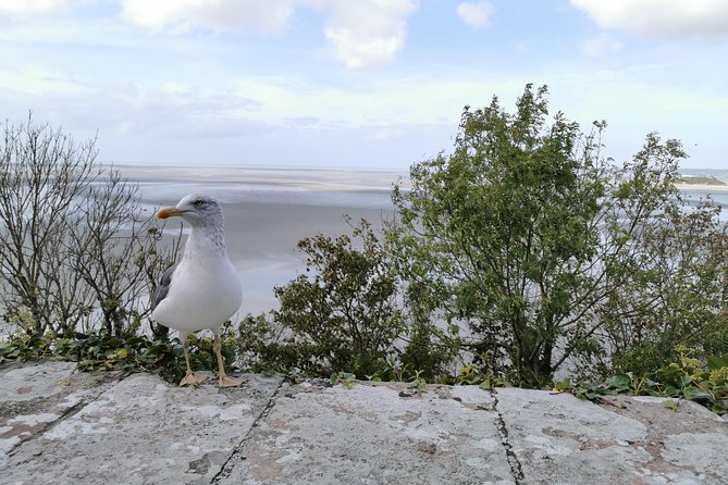 Private Guided Day Tour of Mont St-Michel From Paris - Traveler Photos