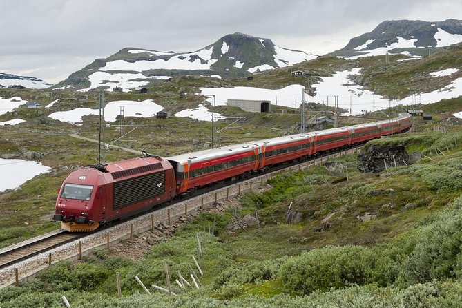Private Guided Day Tour - RIB Nærøyfjord Safari & Flåm Railway - Pricing Options