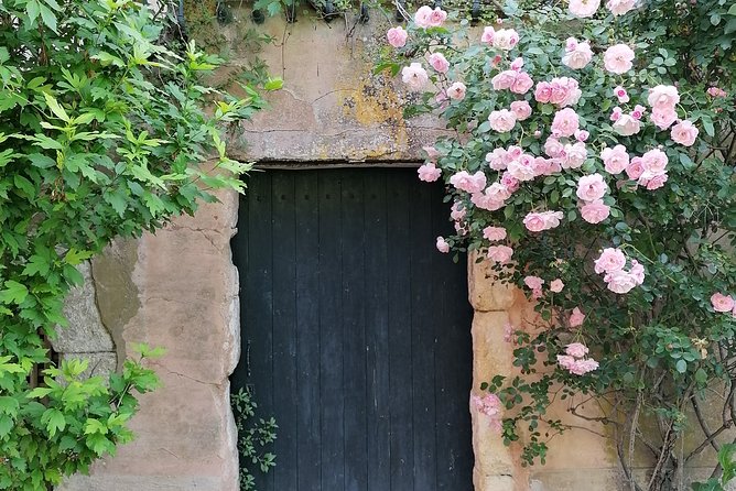 Private Guided Day Trip to the Luberon Villages - Reviews