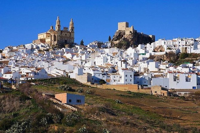 Private Guided Day Trip to the White Villages and Ronda From Seville - Flexible Cancellation Policy