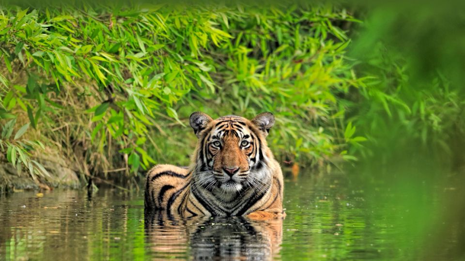 Private Guided Ranthambore National Park Tour From Jaipur - Location Information