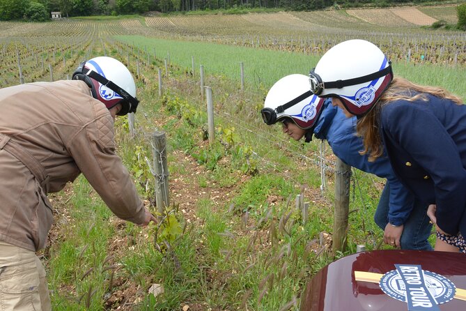Private Guided Sidecar Tour in Burgundy From Meursault - Transparent Pricing Details