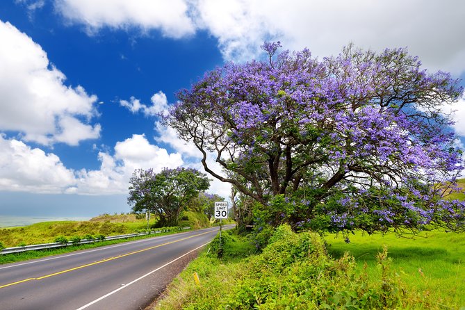 Private Half-Day Haleakalā Hike in Kahului  - Maui - Traveler Experience