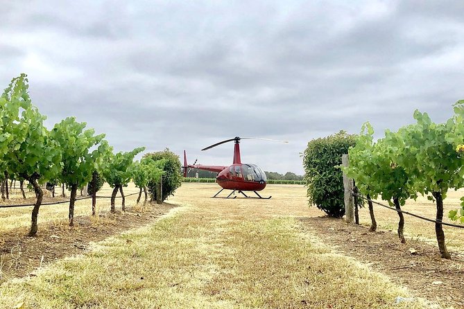 Private Helicopter Flight to Hunter Valley With a La Carte Lunch - for 2 - Cancellation Policy