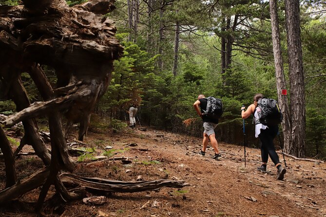 Private Hiking Tour in Athens at The Peak of Taygetos Mountain - Participant Requirements