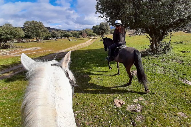 Private Horse Ride in Madrid Natural Park Reserve - Cancellation Policy