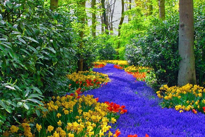Private Keukenhof Tulip Fields & Flowers Sightseeing Tour From Amsterdam - Accessibility Information