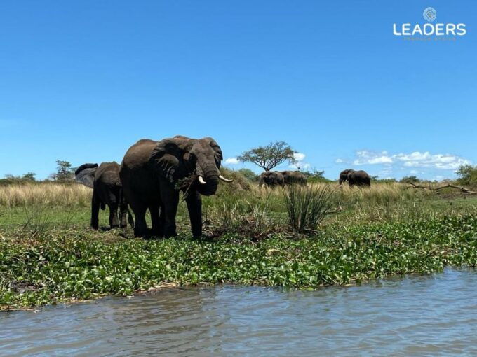 Private Kruger National Park Full Day Safari - Pickup Information