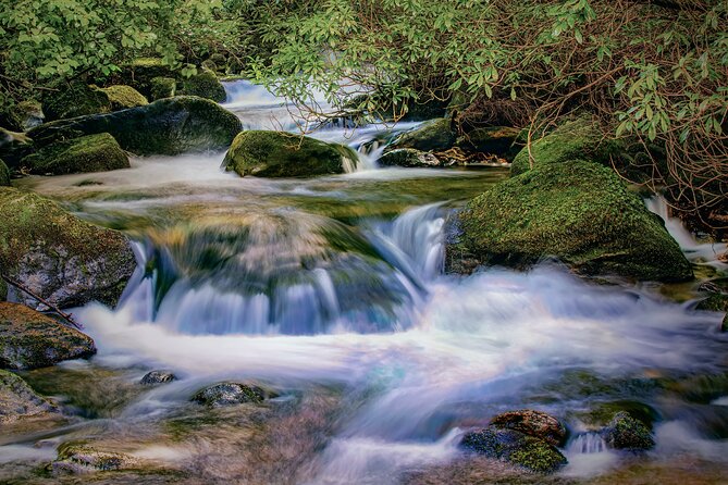 Private Luxury Full-Day Ring of Kerry Tour From Killarney - Booking Information