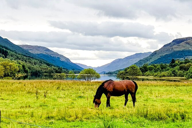 Private Luxury Tour of The Highlands and Loch Ness From Glasgow - Safety and Comfort