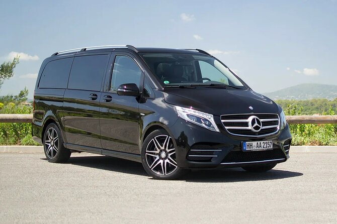 Private Luxury Van Transfer From Copenhagen Port to Copenhagen - Pickup Instructions