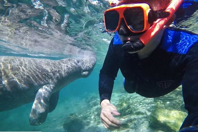 Private Manatee Tour for up to 10 - Cancellation Policy
