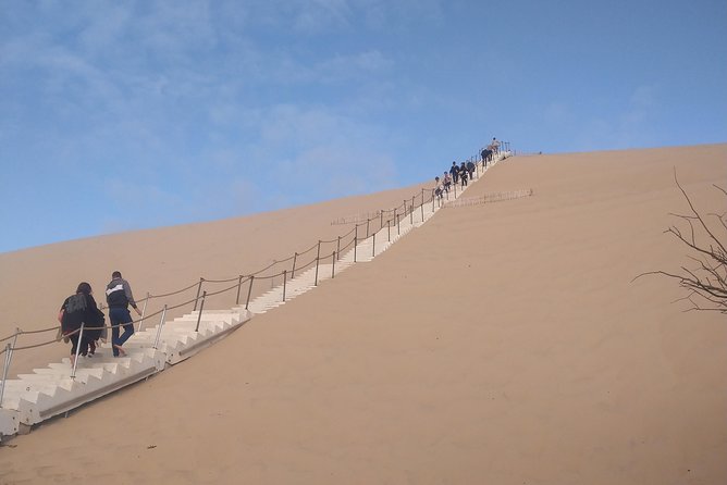 Private Morning Trip to the Dune of Pyla & Oysters Tasting at the Local Market - Booking Policies